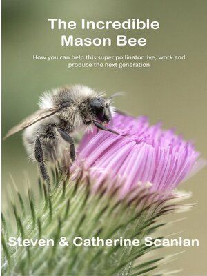 cover image of Incredible Mason Bee